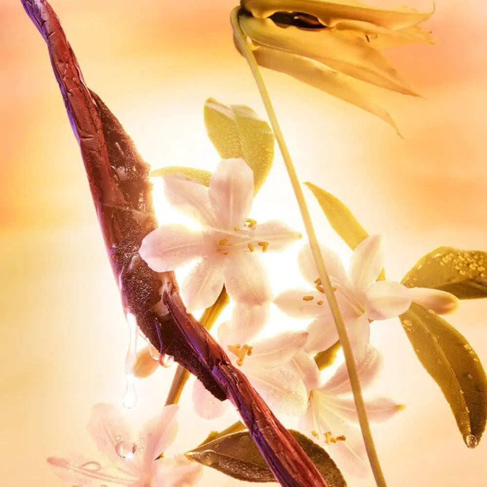 CHARLOTTE TILBURY Joyphoria Parfume Set Eau de Parfum 100ml + 10ml Fondation