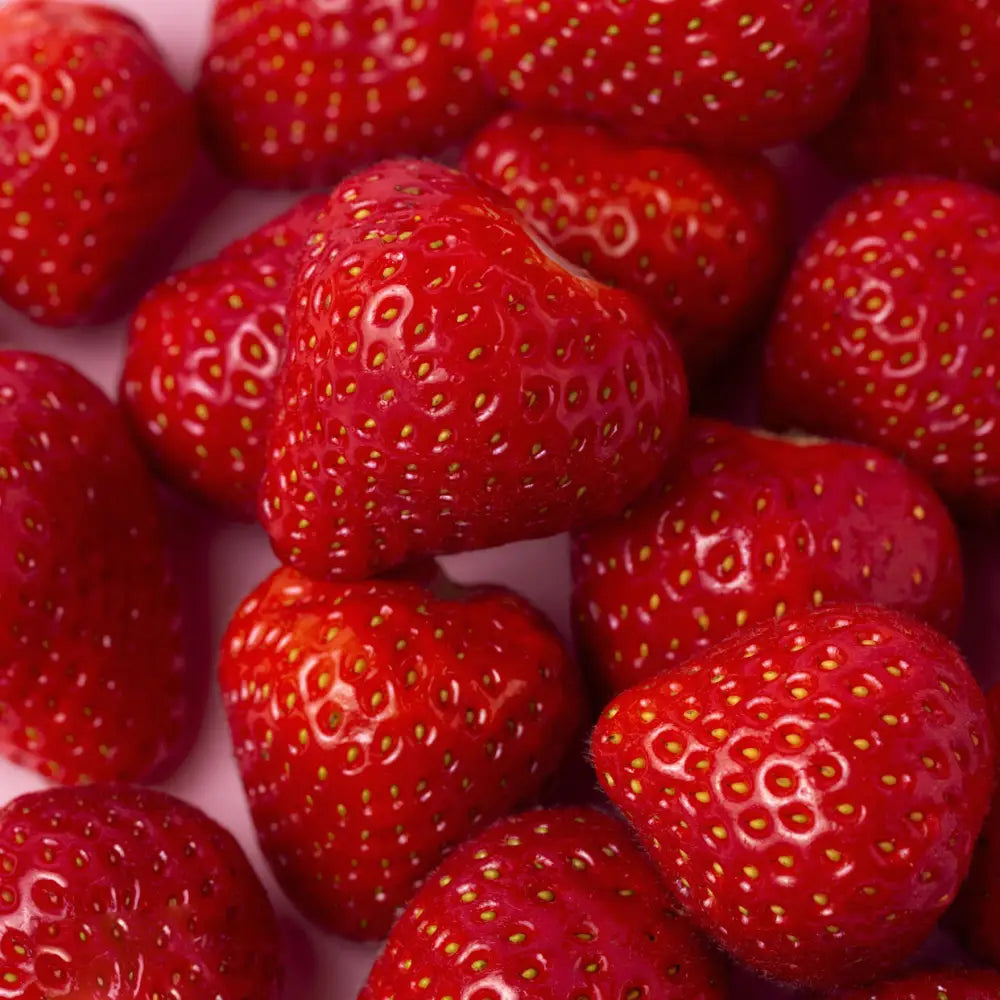 HUDA BEAUTY - MINI Kayali Yum Boujee Marshmallow | 81 Eau de Parfum intense - 10ml