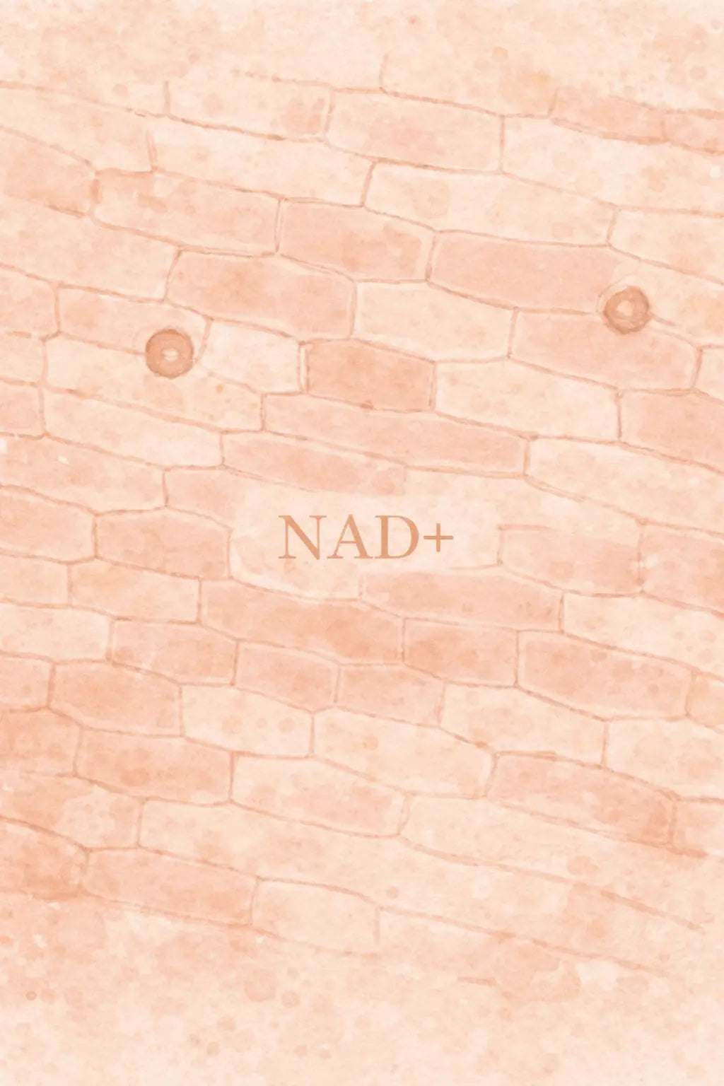 NAD+