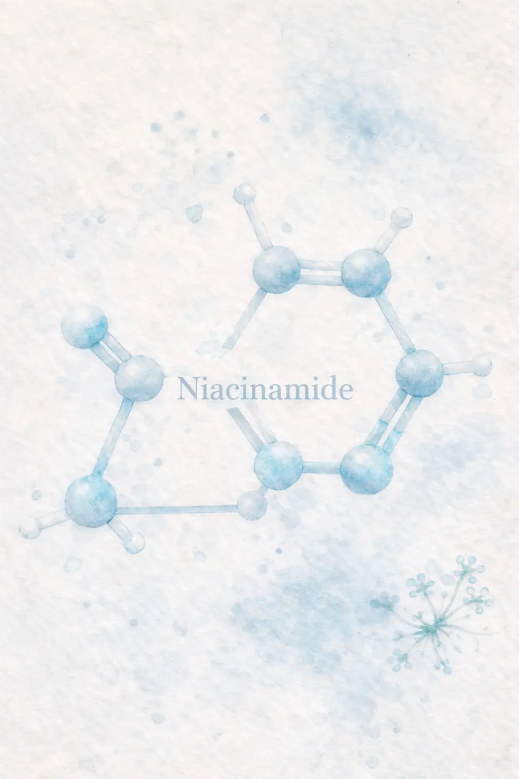 NIACINAMIDE
