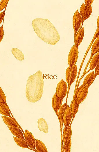 RICE