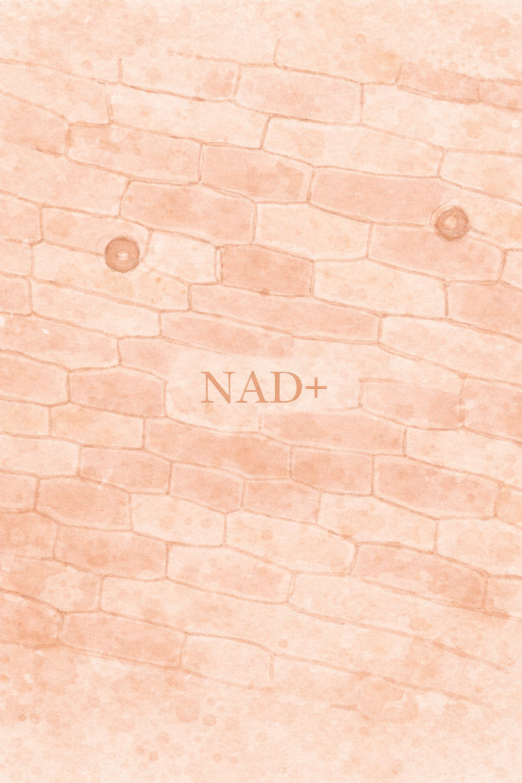 NAD+