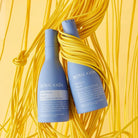 BJORN AXEN DUO Repair Shampooing + Conditioner cheveux secs et abîmés grâce 2x250ml