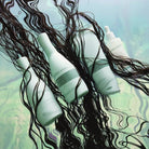 BJORN AXEN - DUO Moisture Shampoo + Conditioner Cheveux Secs - 2x250ml