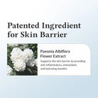 Dr ALTHEA 147 Barrier Cream Daily Skin Barrier Repair Care 50ml masques