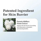 Dr ALTHEA 147 Barrier Cream Daily Skin Barrier Repair Care 50ml masques