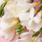 HUDA BEAUTY - MINI Kayali Yum Boujee Marshmallow | 81 Eau de Parfum intense - 10ml