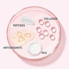 it-cosmetics-bye-bye-pores-poreless-finish-airbrush-powder-ref-translucent-5-44g