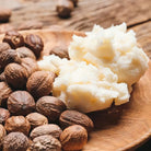 LE PETIT OLIVIER - Duo Shampooing et Après Shampooing Beurre de Karité et Macadamia - 250ml crème pour le corps