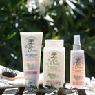 LE PETIT OLIVIER - Duo Shampooing et Après Shampooing Lait Soin Douceur Amande Douce Et Crème De Riz - 250ml crème pour