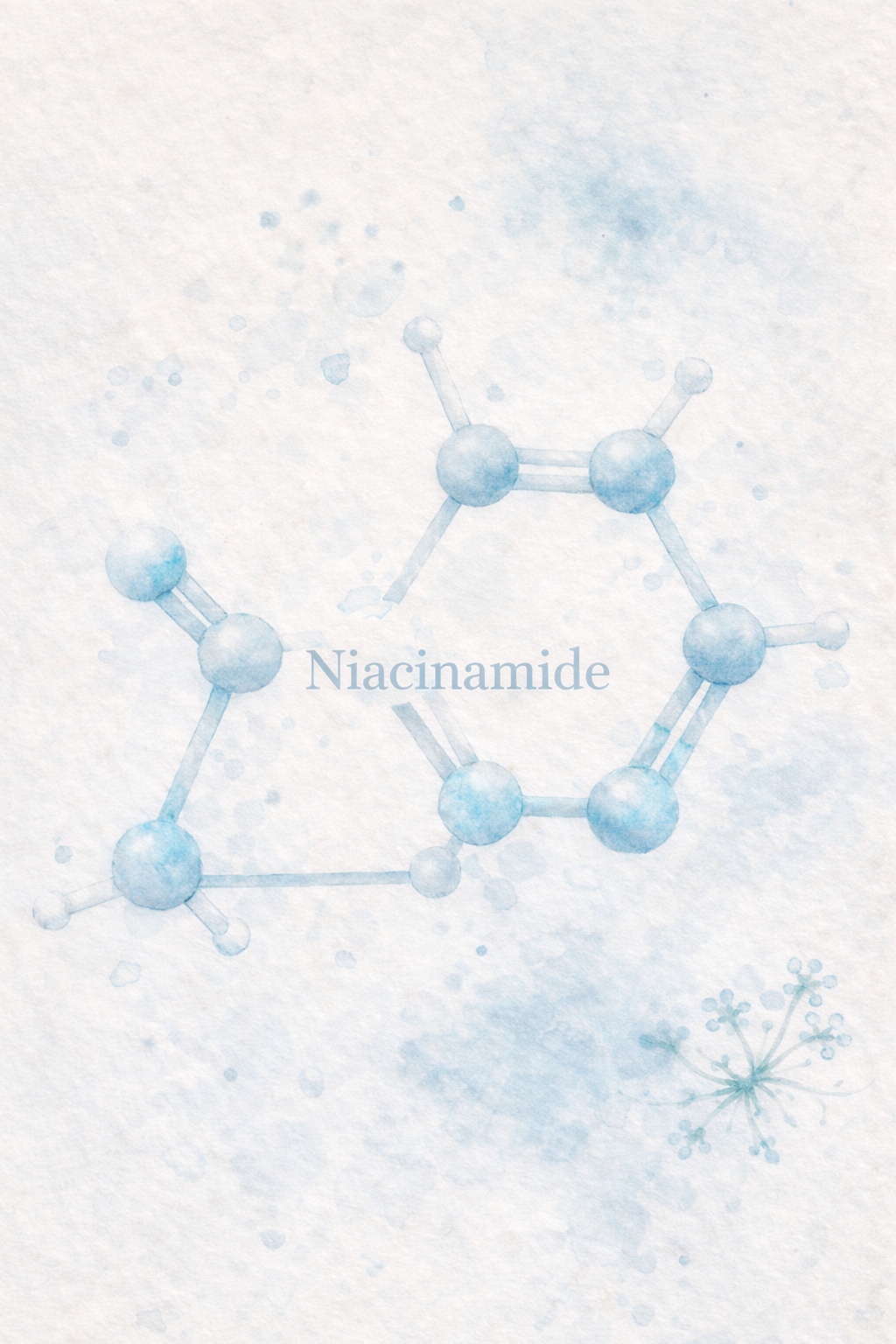Niacinamid