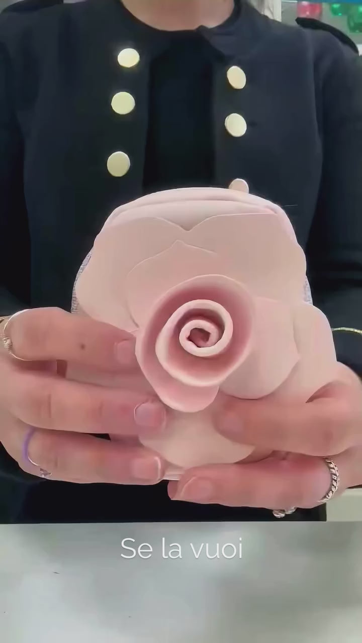 Charger la vidéo : DOLCE &amp; GABBANA - Mini bag rosa
