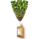 SKIN 1004 - MINI Madagascar Centella Ampoule - 30ml