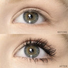 TOO FACED - Sexy Lips & Lashes set rouge à lèvre